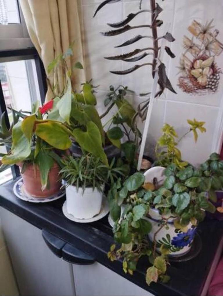 Habitaciones Privadas Con Cama Doble En Sevilla 외부 사진